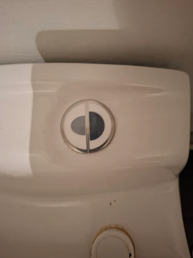 Mécanisme chasse d'eau double bouton