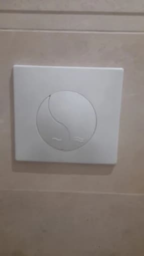 Plaque chasse d'eau encastrée